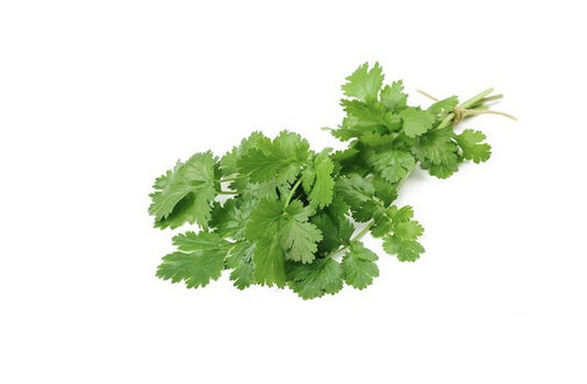 Coriander Leaves Fresh